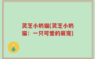 灵芝小奶猫(灵芝小奶猫：一只可爱的萌宠)