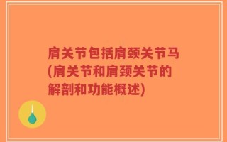 肩关节包括肩颈关节马(肩关节和肩颈关节的解剖和功能概述)