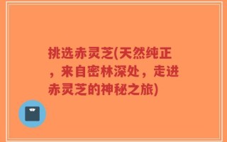 挑选赤灵芝(天然纯正，来自密林深处，走进赤灵芝的神秘之旅)