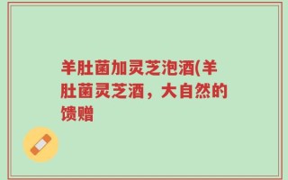 羊肚菌加灵芝泡酒(羊肚菌灵芝酒，大自然的馈赠