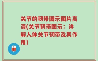 关节的韧带图示图片高清(关节韧带图示：详解人体关节韧带及其作用)