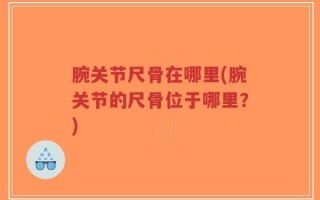 腕关节尺骨在哪里(腕关节的尺骨位于哪里？)