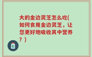大的金边灵芝怎么吃(如何食用金边灵芝，让您更好地吸收其中营养？)