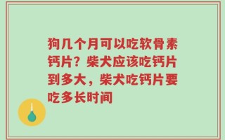 狗几个月可以吃软骨素钙片？柴犬应该吃钙片到多大，柴犬吃钙片要吃多长时间