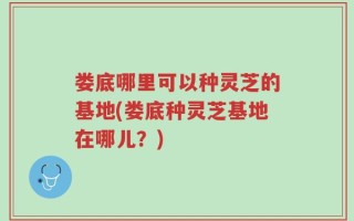 娄底哪里可以种灵芝的基地(娄底种灵芝基地在哪儿？)