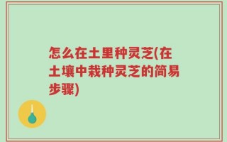 怎么在土里种灵芝(在土壤中栽种灵芝的简易步骤)