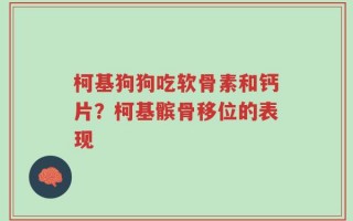 柯基狗狗吃软骨素和钙片？柯基髌骨移位的表现