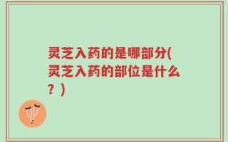 灵芝入药的是哪部分(灵芝入药的部位是什么？)