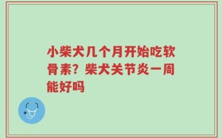 小柴犬几个月开始吃软骨素？柴犬关节炎一周能好吗