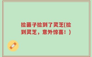 捡菌子捡到了灵芝(捡到灵芝，意外惊喜！)