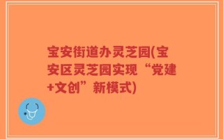 宝安街道办灵芝园(宝安区灵芝园实现“党建+文创”新模式)