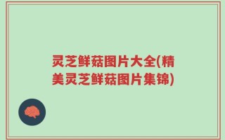 灵芝鲜菇图片大全(精美灵芝鲜菇图片集锦)