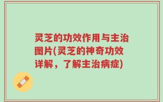 灵芝的功效作用与主治图片(灵芝的神奇功效详解，了解主治病症)