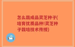 怎么栽成品灵芝种子(培育优质品种!灵芝种子栽培技术传授)
