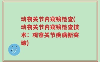动物关节内窥镜检查(动物关节内窥镜检查技术：观察关节疾病新突破)