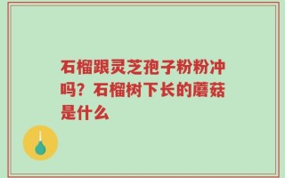 石榴跟灵芝孢子粉粉冲吗？石榴树下长的蘑菇是什么