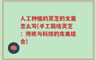 人工种植的灵芝的文案怎么写(手工栽培灵芝：传统与科技的完美结合)