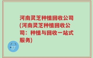 河南灵芝种植回收公司(河南灵芝种植回收公司：种植与回收一站式服务)