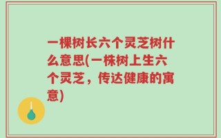 一棵树长六个灵芝树什么意思(一株树上生六个灵芝，传达健康的寓意)