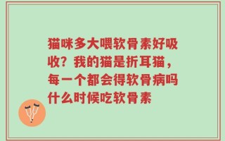 猫咪多大喂软骨素好吸收？我的猫是折耳猫，每一个都会得软骨病吗什么时候吃软骨素