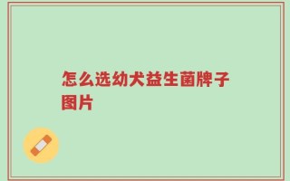 怎么选幼犬益生菌牌子图片