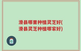 滑县哪里种植灵芝好(滑县灵芝种植哪家好)