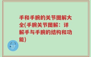 手和手腕的关节图解大全(手腕关节图解：详解手与手腕的结构和功能)
