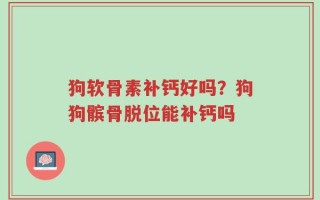 狗软骨素补钙好吗？狗狗髌骨脱位能补钙吗