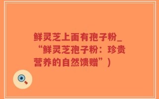鲜灵芝上面有孢子粉_“鲜灵芝孢子粉：珍贵营养的自然馈赠”)