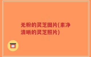 无粉的灵芝图片(素净清晰的灵芝照片)