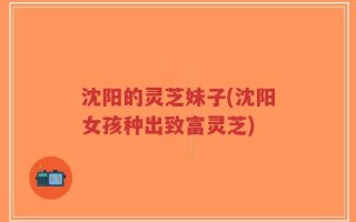 沈阳的灵芝妹子(沈阳女孩种出致富灵芝)