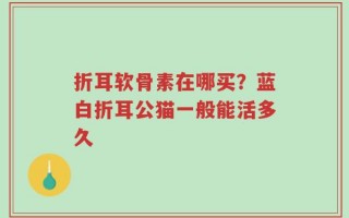 折耳软骨素在哪买？蓝白折耳公猫一般能活多久