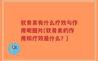 软骨素有什么疗效与作用呢图片(软骨素的作用和疗效是什么？)