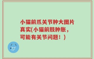 小猫前爪关节肿大图片真实(小猫前肢肿胀，可能有关节问题！)