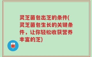 灵芝菌包出芝的条件(灵芝菌包生长的关键条件，让你轻松收获营养丰富的芝)