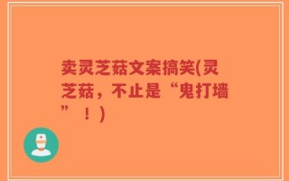 卖灵芝菇文案搞笑(灵芝菇，不止是“鬼打墙” ！)