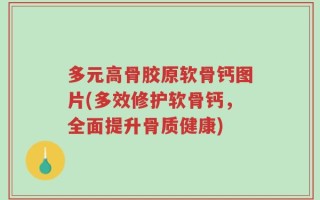 多元高骨胶原软骨钙图片(多效修护软骨钙，全面提升骨质健康)