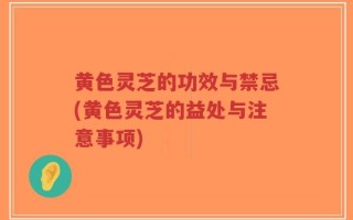 黄色灵芝的功效与禁忌(黄色灵芝的益处与注意事项)