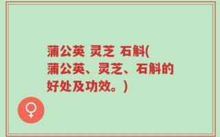 蒲公英 灵芝 石斛(蒲公英、灵芝、石斛的好处及功效。)