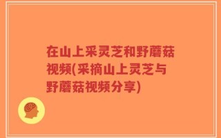 在山上采灵芝和野蘑菇视频(采摘山上灵芝与野蘑菇视频分享)