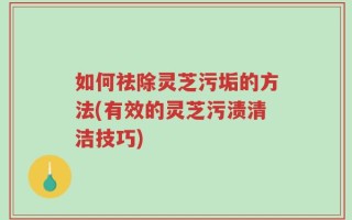 如何祛除灵芝污垢的方法(有效的灵芝污渍清洁技巧)