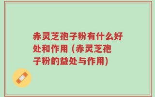 赤灵芝孢子粉有什么好处和作用 (赤灵芝孢子粉的益处与作用)