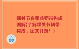 踝关节有哪些韧带构成图解(了解踝关节韧带构成，图文并茂！)