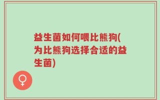 益生菌如何喂比熊狗(为比熊狗选择合适的益生菌)