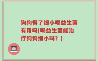 狗狗得了细小喝益生菌有用吗(喝益生菌能治疗狗狗细小吗？)