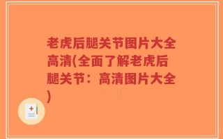 老虎后腿关节图片大全高清(全面了解老虎后腿关节：高清图片大全)