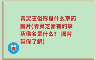 青灵芝俗称是什么草药图片(青灵芝素有的草药俗名是什么？ 图片带你了解)