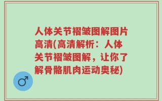人体关节褶皱图解图片高清(高清解析：人体关节褶皱图解，让你了解骨骼肌肉运动奥秘)