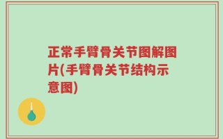 正常手臂骨关节图解图片(手臂骨关节结构示意图)
