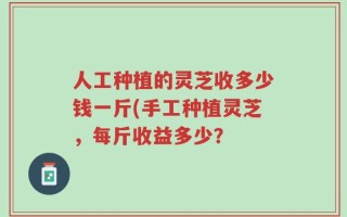 人工种植的灵芝收多少钱一斤(手工种植灵芝，每斤收益多少？